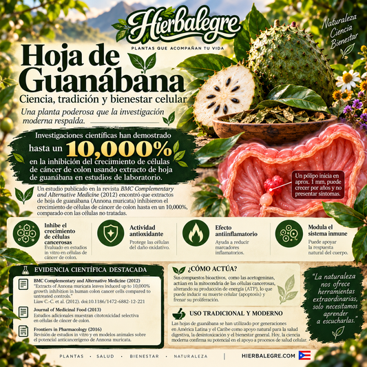 Hojas De Guanábana