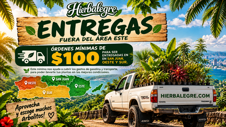 Plantas Y Semillas